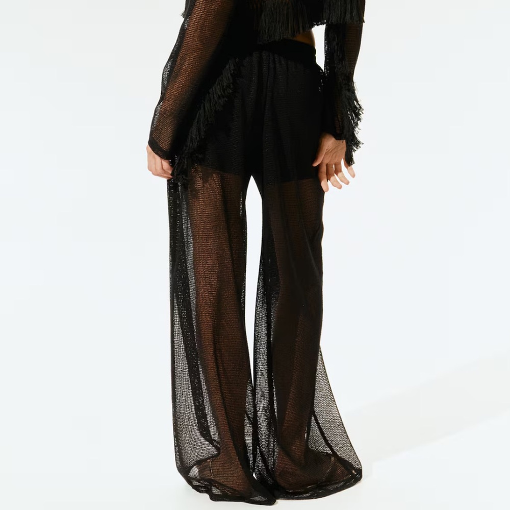 H&M Black sheer pants
